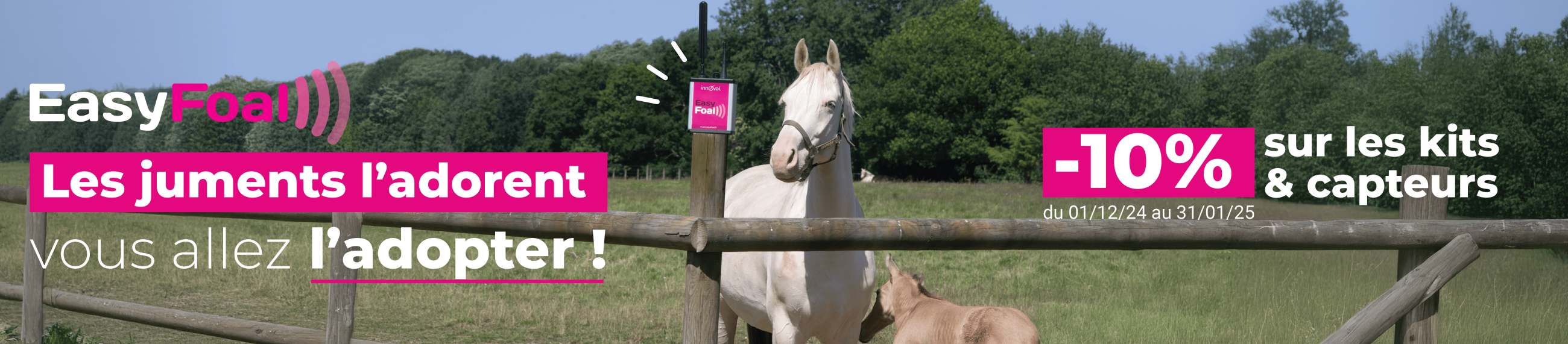 Easyfoal, efficiency and simplicity for foaling