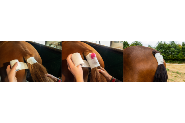 Complete EasyFoal kit - Outdoor (3 sensors)